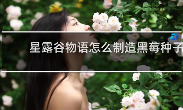 星露谷物语怎么制造黑莓种子