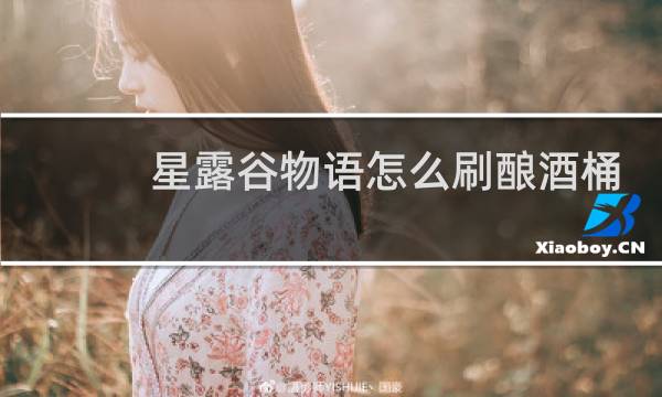 星露谷物语怎么刷酿酒桶