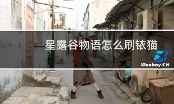 星露谷物语怎么刷铱猫