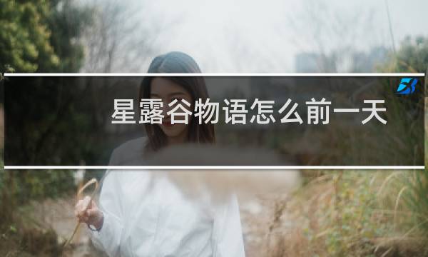 星露谷物语怎么前一天