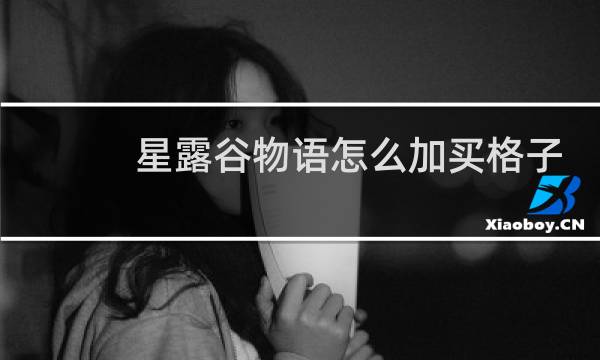 星露谷物语怎么加买格子