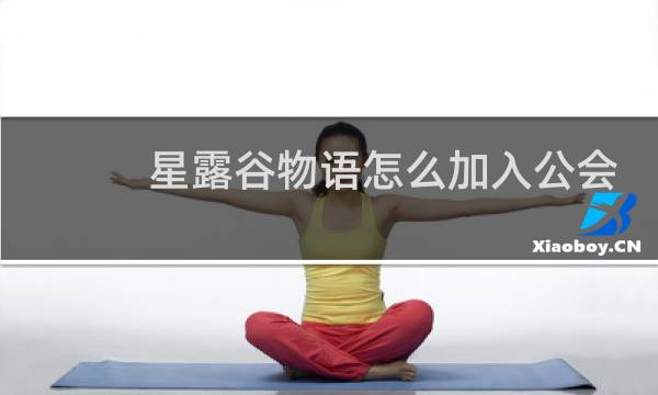 星露谷物语怎么加入公会