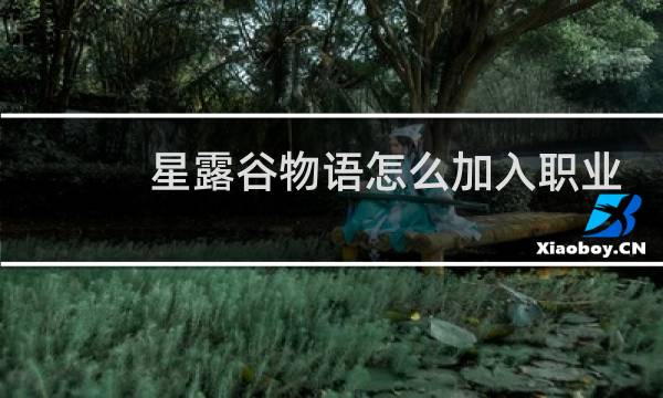星露谷物语怎么加入职业