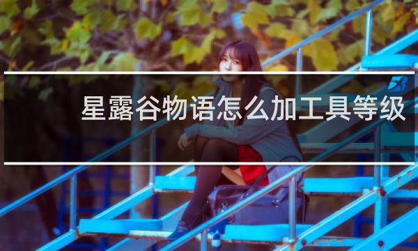 星露谷物语怎么加工具等级