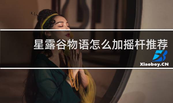 星露谷物语怎么加摇杆推荐