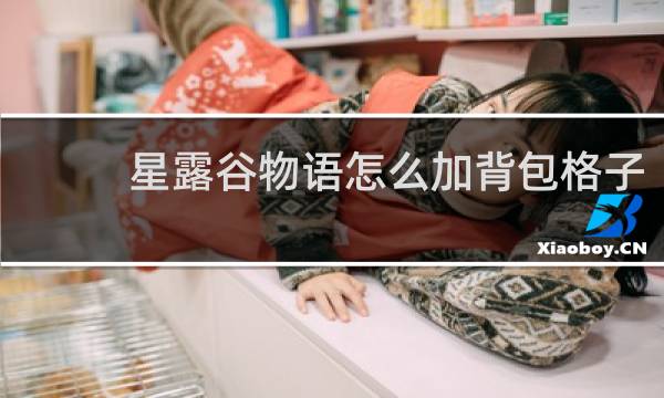 星露谷物语怎么加背包格子