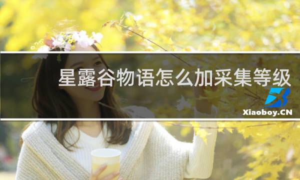 星露谷物语怎么加采集等级