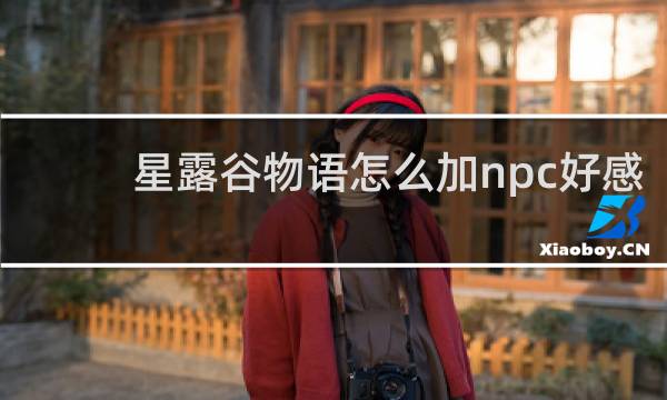 星露谷物语怎么加npc好感