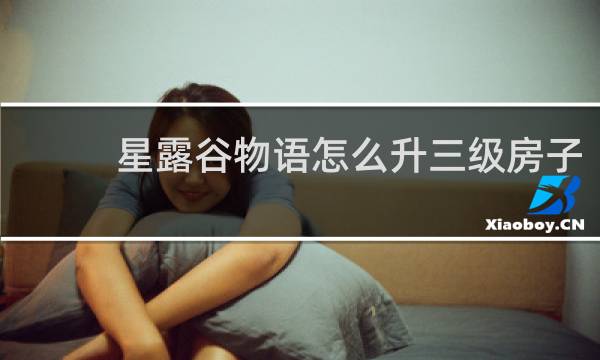 星露谷物语怎么升三级房子