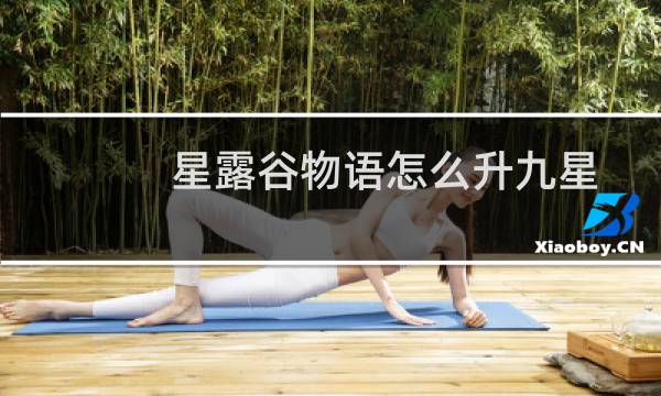星露谷物语怎么升九星