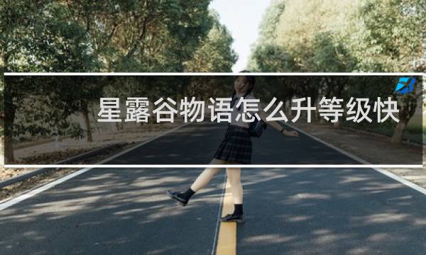 星露谷物语怎么升等级快