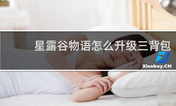 星露谷物语怎么升级三背包