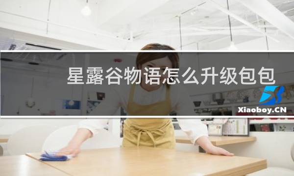 星露谷物语怎么升级包包