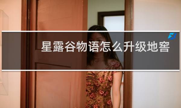 星露谷物语怎么升级地窖