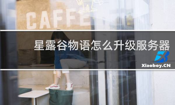 星露谷物语怎么升级服务器