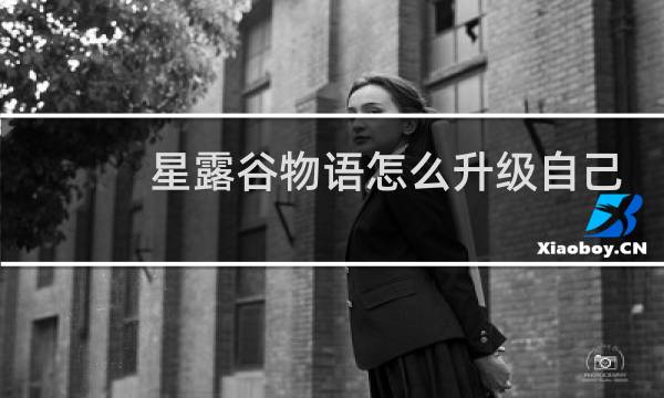 星露谷物语怎么升级自己