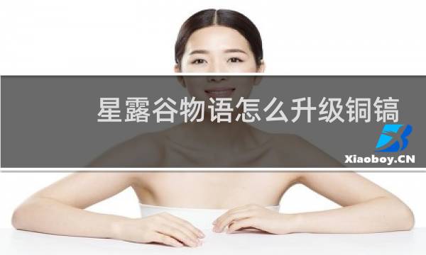 星露谷物语怎么升级铜镐