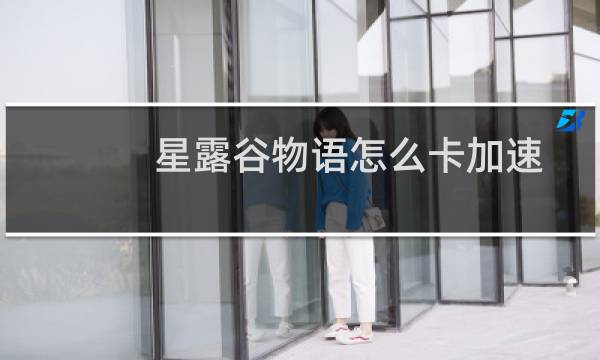 星露谷物语怎么卡加速