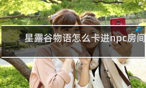 星露谷物语怎么卡进npc房间
