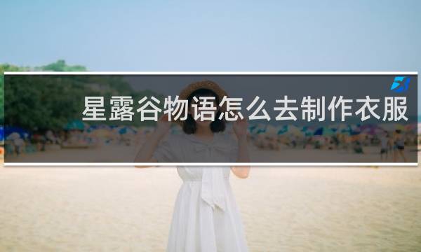 星露谷物语怎么去制作衣服