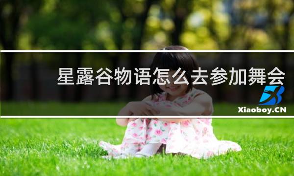 星露谷物语怎么去参加舞会