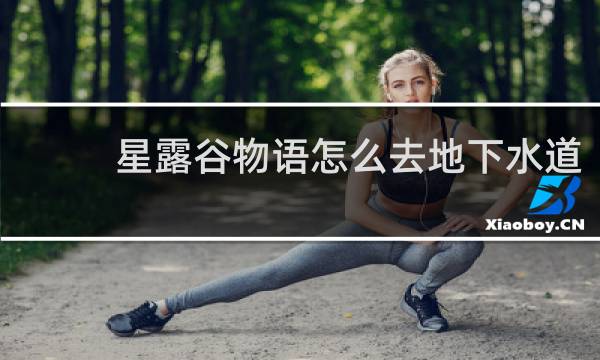 星露谷物语怎么去地下水道