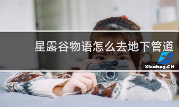星露谷物语怎么去地下管道