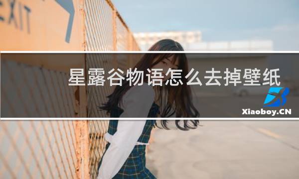 星露谷物语怎么去掉壁纸