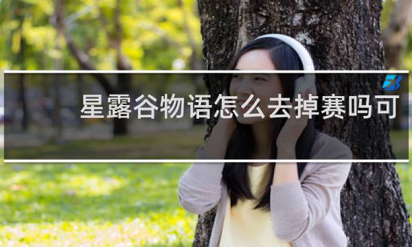 星露谷物语怎么去掉赛吗可