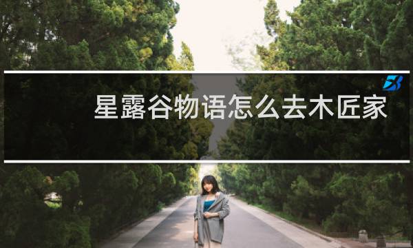 星露谷物语怎么去木匠家