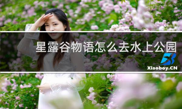 星露谷物语怎么去水上公园
