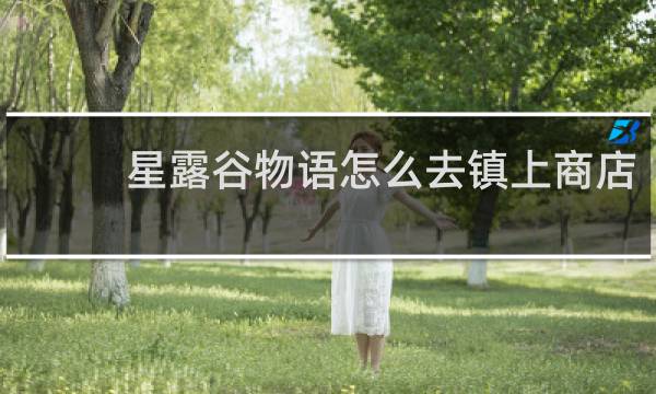星露谷物语怎么去镇上商店