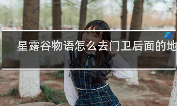 星露谷物语怎么去门卫后面的地方