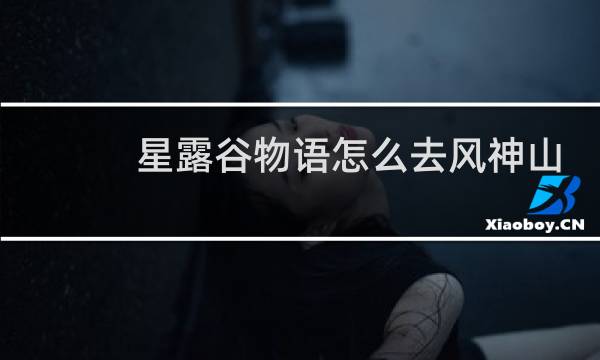 星露谷物语怎么去风神山