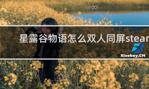 星露谷物语怎么双人同屏steam