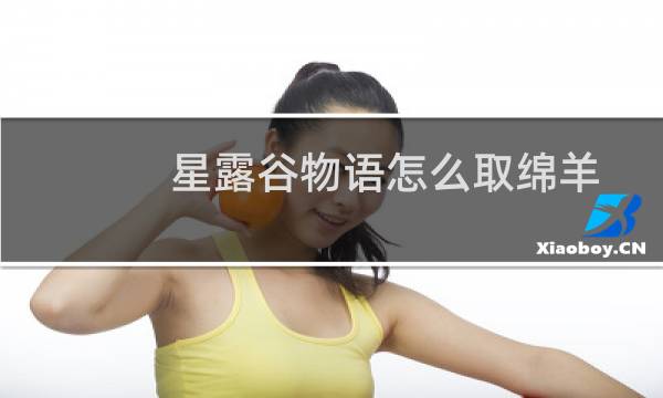 星露谷物语怎么取绵羊