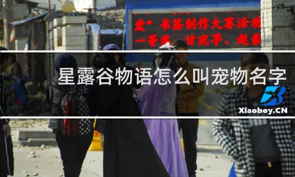 星露谷物语怎么叫宠物名字