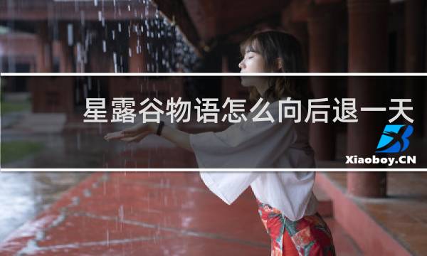 星露谷物语怎么向后退一天