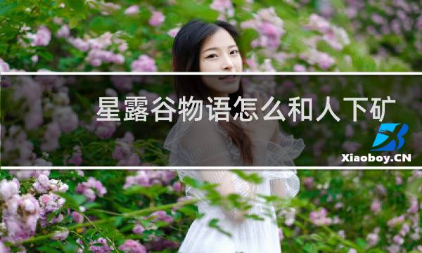 星露谷物语怎么和人下矿