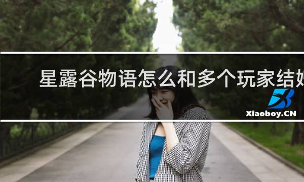 星露谷物语怎么和多个玩家结婚