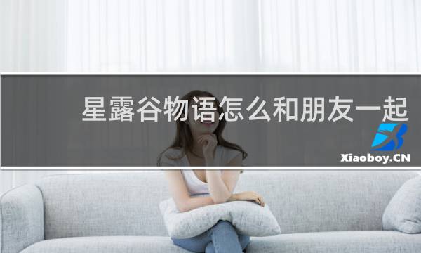 星露谷物语怎么和朋友一起