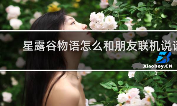 星露谷物语怎么和朋友联机说话