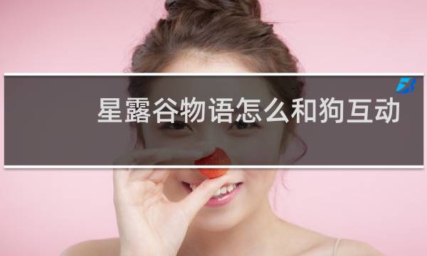 星露谷物语怎么和狗互动