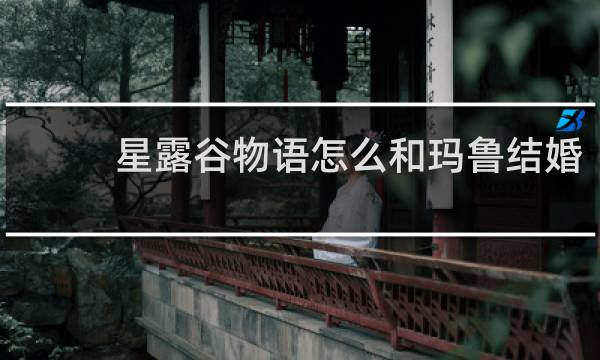 星露谷物语怎么和玛鲁结婚