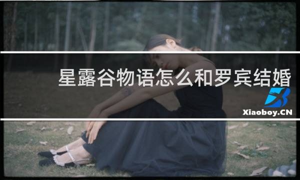 星露谷物语怎么和罗宾结婚