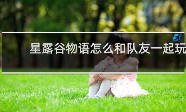 星露谷物语怎么和队友一起玩