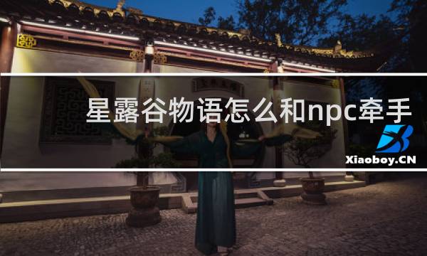 星露谷物语怎么和npc牵手