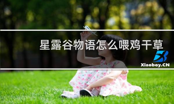 星露谷物语怎么喂鸡干草