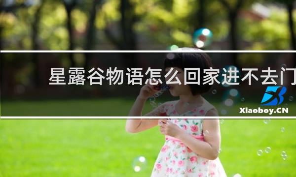 星露谷物语怎么回家进不去门