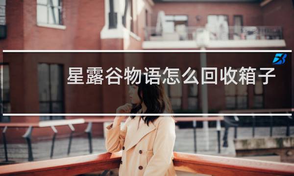 星露谷物语怎么回收箱子